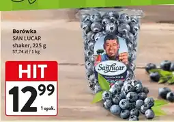 Intermarche Borówka SAN LUCAR shaker 225g oferta