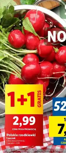 Lidl Rzodkiewka oferta