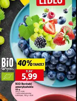Lidl Borówka amerykańska oferta