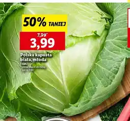 Lidl Kapusta młoda polska oferta