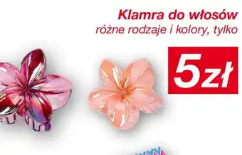 KiK Klamra do włosów oferta