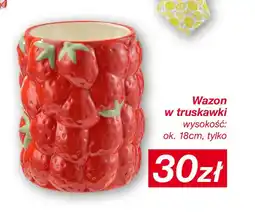 KiK Wazon w truskawki oferta