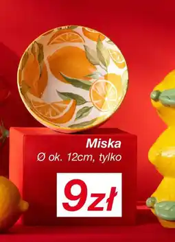 KiK Miska oferta