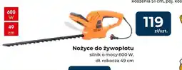 Mrówka Nożyce do żywopłotu oferta