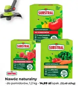 Mrówka Nawóz naturalny Substral oferta