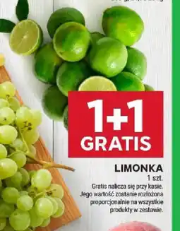 Stokrotka Limonka oferta