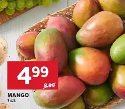 Stokrotka Mango oferta