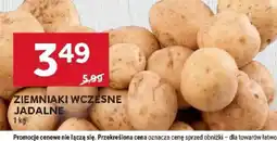 Stokrotka Ziemniaki wczesne jadalne oferta