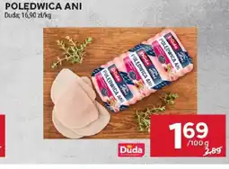 Stokrotka Polędwica Ani Duda oferta