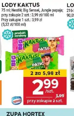 Stokrotka Lody Kaktus oferta