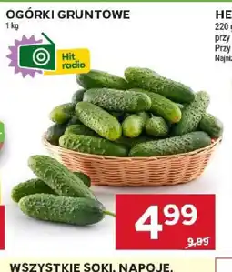 Stokrotka Ogórki gruntowe oferta