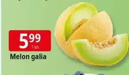 E.Leclerc Melon galia Leclerc oferta