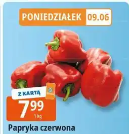 E.Leclerc Papryka czerwona Leclerc oferta