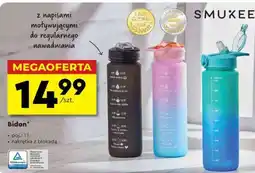 Biedronka Bidon oferta