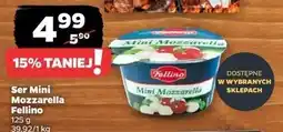 Netto Mozzarella mini Fellino oferta