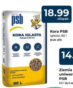 Mrówka Kora PSB oferta
