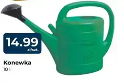 Mrówka Konewka oferta