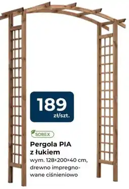Mrówka Pergola PIA z łukiem oferta