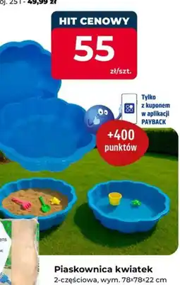 Mrówka Piaskownica kwiatek oferta