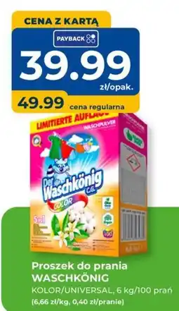 Mrówka Proszek do prania WASCHKÖNIG oferta