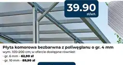 Mrówka Płyta komorowa bezbarwna z poliwęglanu oferta