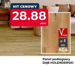 Mrówka Panel podłogowy Dąb Holenderski oferta