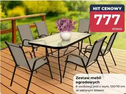 Mrówka Zestaw mebli ogrodowych oferta