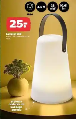 Netto Lampion led oferta
