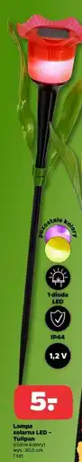 Netto Lampa solarna tulipan oferta