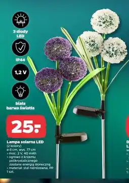 Netto Lampa solarna led 8 cm oferta