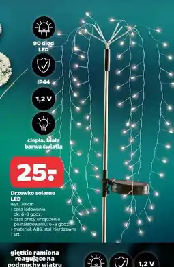 Netto Drzewko solarne led 70 cm oferta