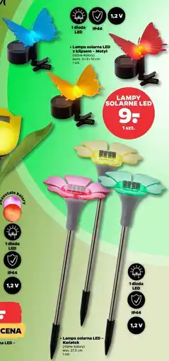 Netto Lampa solarna kwiatek oferta