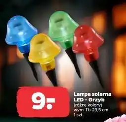 Netto Lampa solarna grzybek oferta
