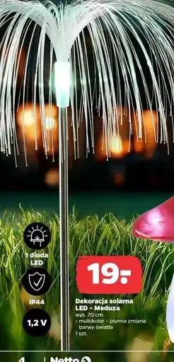 Netto Dekoracja solarna led meduza oferta