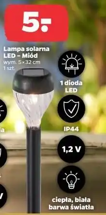 Netto Lampa solarna led miód 32 cm oferta