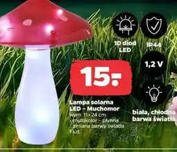 Netto Lampa solarna muchomor oferta