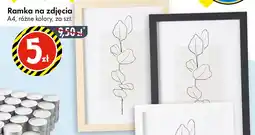 Tedi Ramka na zdjęcia oferta