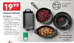 Biedronka Naczynie Dekra oferta