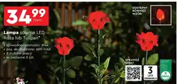 Biedronka Lampa solarna Dekra oferta