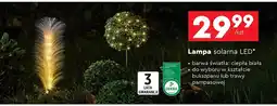 Biedronka Lampa solarna Dekra oferta