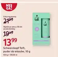 Rossmann Puder do stylizacji włosów Taft Volume oferta