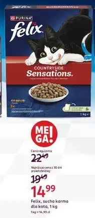 Rossmann Karma dla kota z wołowiną Purina Felix Sensations oferta