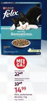 Rossmann Karma dla kota z łososiem Purina Felix Sensations oferta