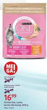 Rossmann Karma dla kota junior Purina One oferta