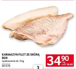 Selgros Karmazyn filet ze skórą box oferta