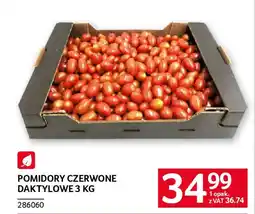 Selgros Pomidory czerwone daktylowe oferta