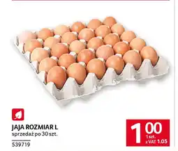 Selgros Jaja rozmiar l oferta