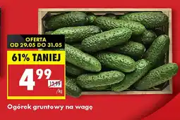Biedronka Ogórek gruntowy na wagę oferta