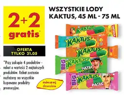 Biedronka Wszystkie lody kaktus, 45 ml - 75 ml kaktus oferta