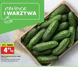 Biedronka Ogórek gruntowy na wagę oferta